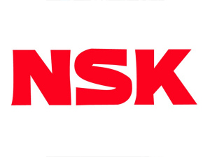 NSK中国投资公司